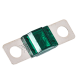 zoom_QVMID20