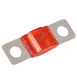 zoom_QVMID50